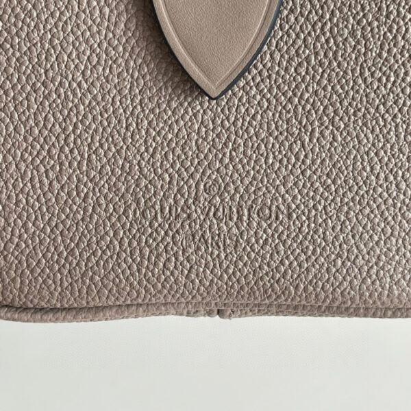 Louis Vuitton Speedy 20