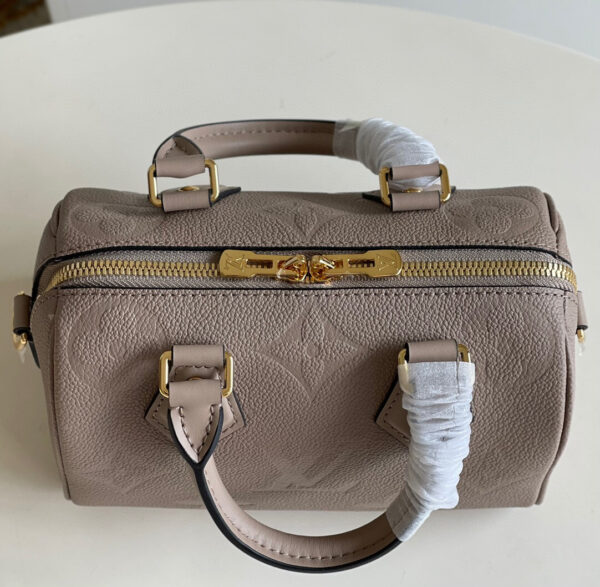Louis Vuitton Speedy 20