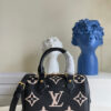 Louis Vuitton Speedy 20