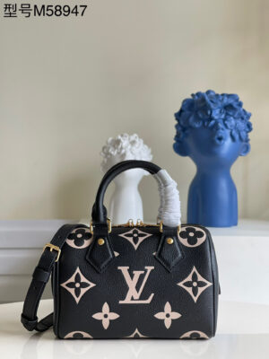 Louis Vuitton Speedy 20