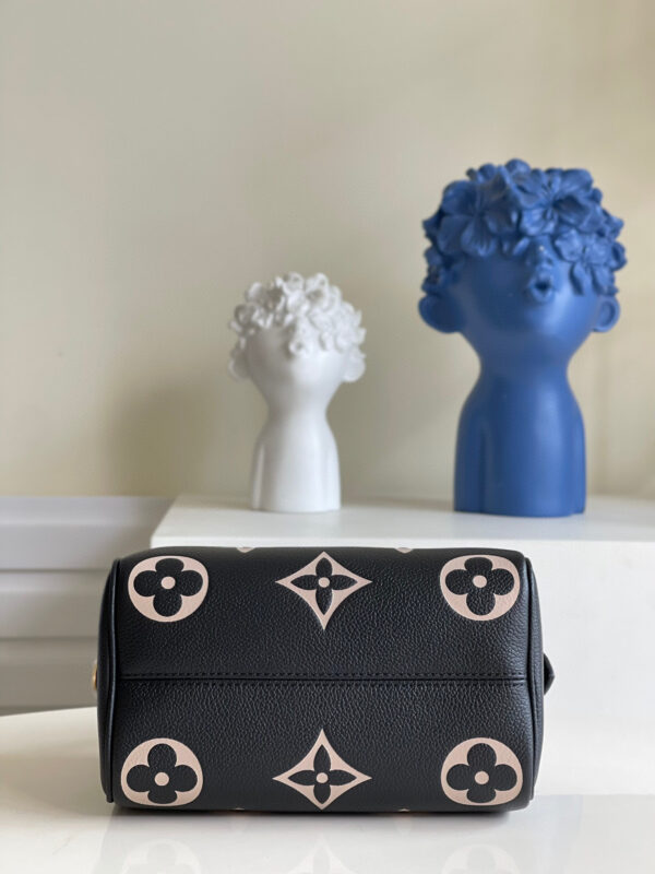 Louis Vuitton Speedy 20