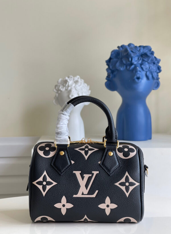 Louis Vuitton Speedy 20