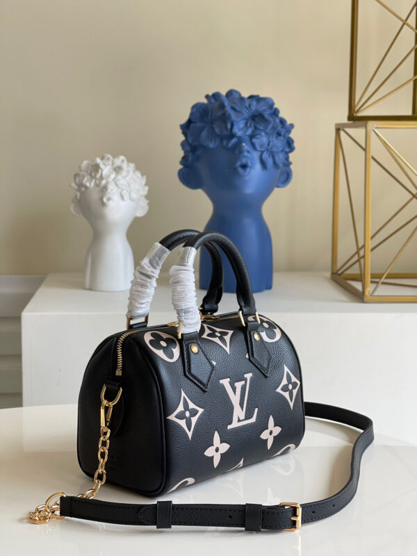 Louis Vuitton Speedy 20
