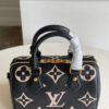 Louis Vuitton Speedy 20