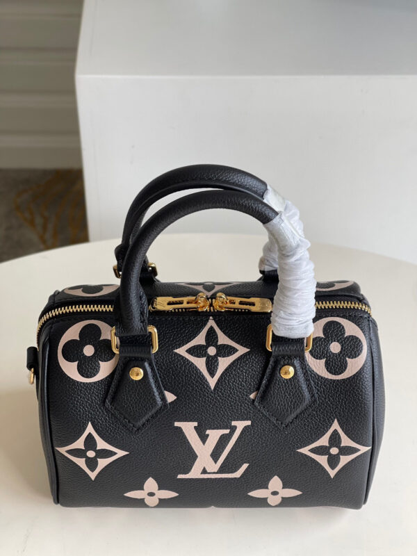 Louis Vuitton Speedy 20