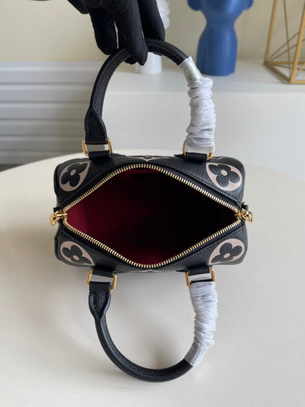 Louis Vuitton Speedy 20