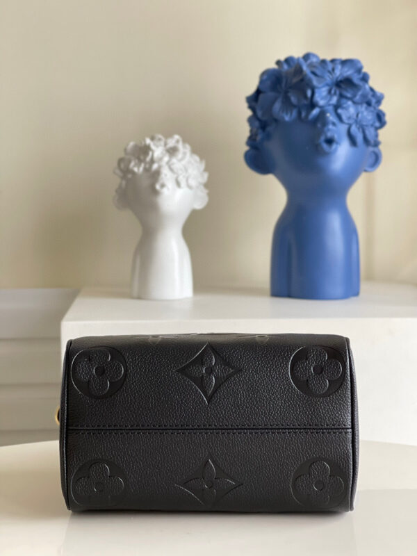 Louis Vuitton Speedy 20