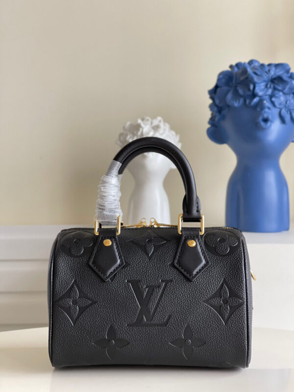 Louis Vuitton Speedy 20