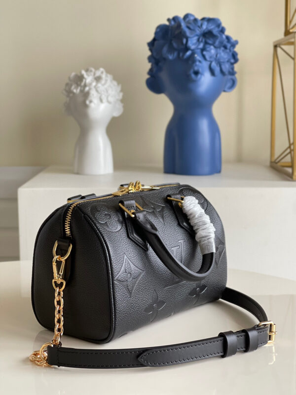 Louis Vuitton Speedy 20