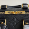 Louis Vuitton Speedy 20