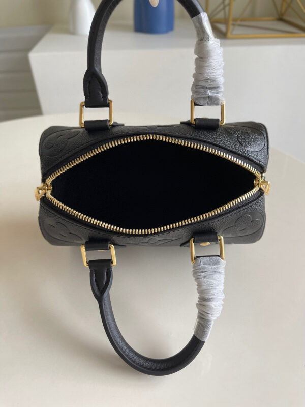 Louis Vuitton Speedy 20