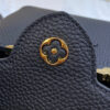 Louis Vuitton Capucines Mini