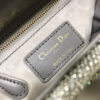 Mini Lady Dior