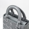 Lady ABC Dior