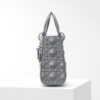 Lady ABC Dior