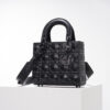 Lady ABC Dior