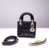 Lady Dior Mini