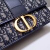 Dior Montaigne