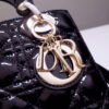 Lady Dior