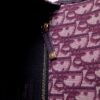 Dior Montaigne
