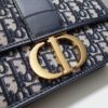 Dior Montaigne