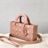 Dior D-Joy Bag