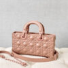 Dior D-Joy Bag