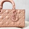 Dior D-Joy Bag