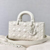 Dior D-Joy Bag