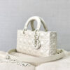 Dior D-Joy Bag