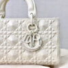 Dior D-Joy Bag