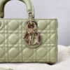 Dior Lady D-Joy Bag Medium