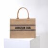 Dior Book Tote