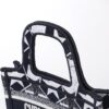 Dior Book Tote Mini