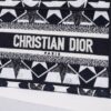 Dior Book Tote Mini