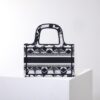 Dior Book Tote Mini