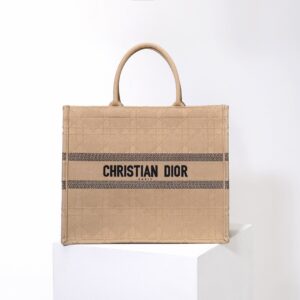 Dior Book Tote