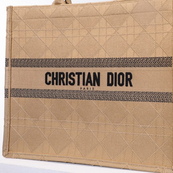 Dior Book Tote