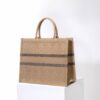 Dior Book Tote
