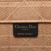 Dior Book Tote