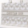 Dior Book Tote