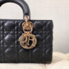 Dior Lady D-Joy Bag Medium