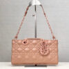 Dior D-Joy Bag