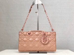 Dior D-Joy Bag