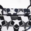 Dior Book Tote