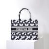 Dior Book Tote