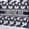 Dior Book Tote