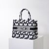 Dior Book Tote