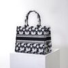 Dior Book Tote