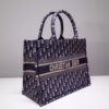 Dior Book Tote